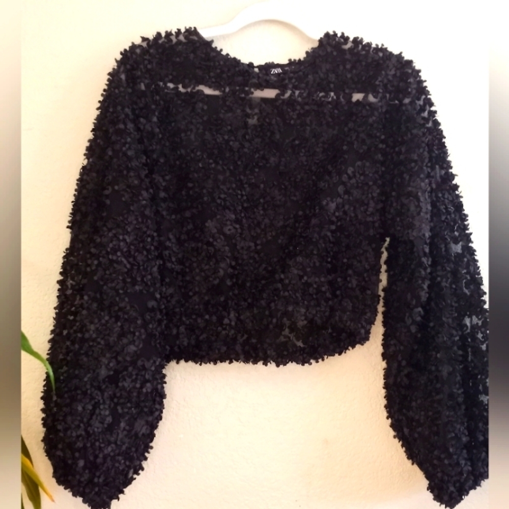 Zara Sheer Black Mesh With 3D Applique Petals Boho Casual Crop Long Sleeve Top - Picture 3 of 7